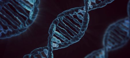 gene