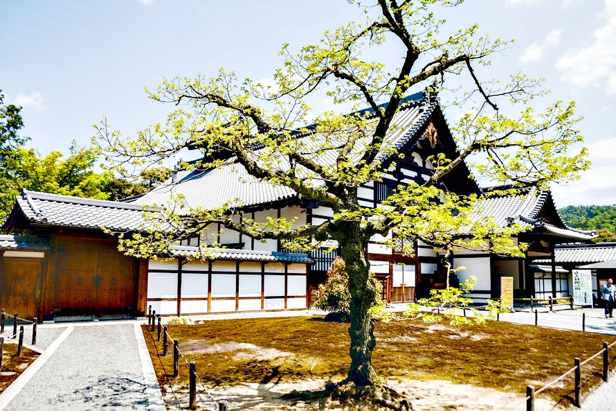 Nature et zen, laissez entrer le design japonais chez vous